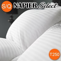 Tone on Tone Standard/Queen Pillow Cases Stripe Napier Select