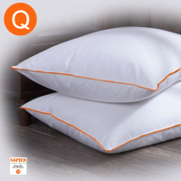 Napier Pillows with Orange Piping Queen