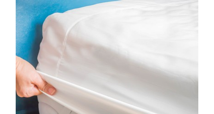 Choose The Right Bed Bug Protector To Keep Bugs At Bay