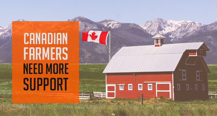 Canadian Farmers Need More Support: Here’s Why