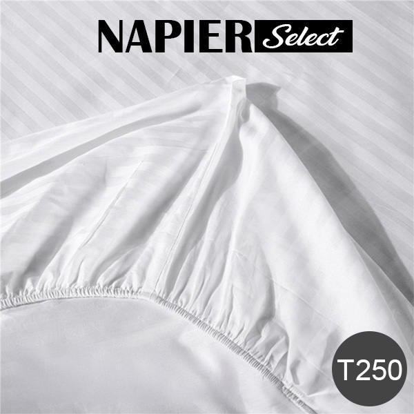 T250 Stripe Fitted Sheets