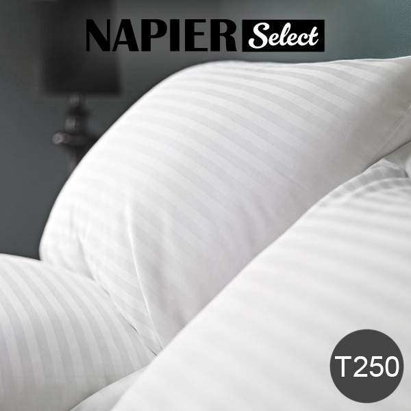 T250 Stripe Pillow Cases
